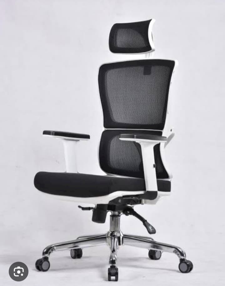 RK-P718 – High Back Mesh Executive Revolving Chair | Adjustable Headrest & Chrome Base