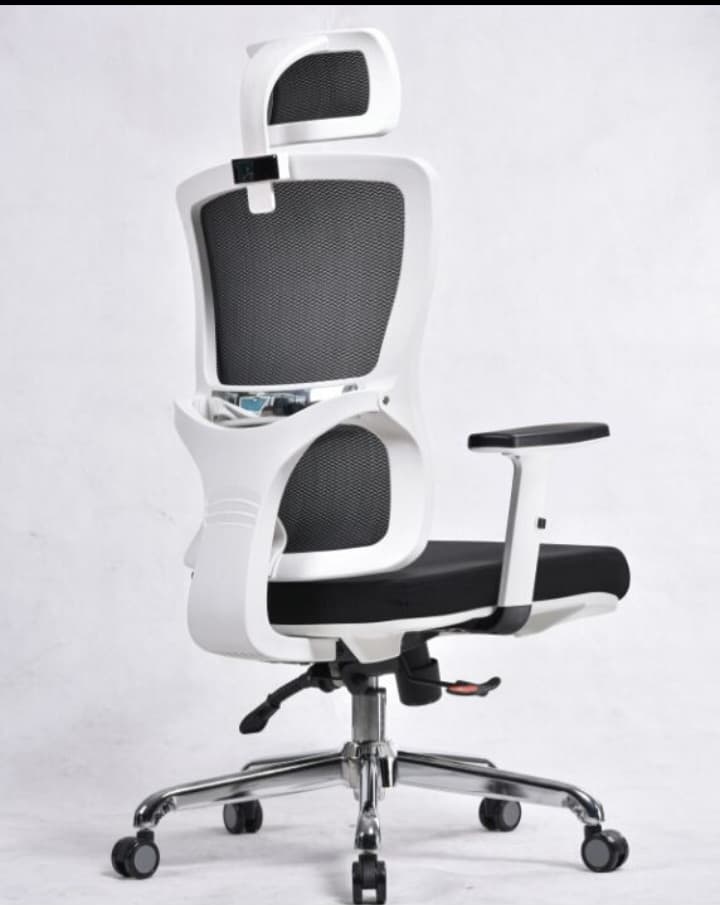 RK-P718 – High Back Mesh Executive Revolving Chair | Adjustable Headrest & Chrome Base thumbnail 2