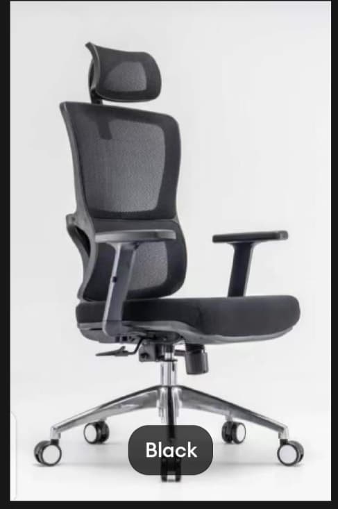 RK-P718 – High Back Mesh Executive Revolving Chair | Adjustable Headrest & Chrome Base thumbnail 3