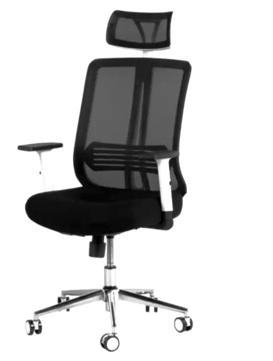RK-1727 – High Back Mesh Executive Revolving Chair | Adjustable Headrest & Chrome Base