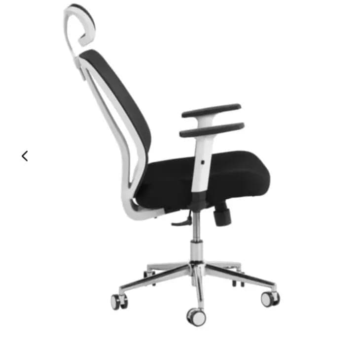 RK-1727 – High Back Mesh Executive Revolving Chair | Adjustable Headrest & Chrome Base thumbnail 2